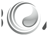 Balboa Water Group logo uit de handleiding