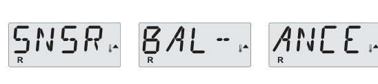 Display: SNSR BALANCE