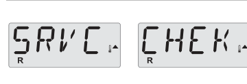 Display: SRVC CHEK