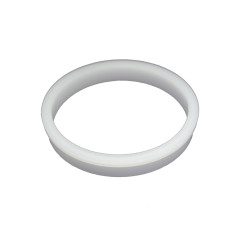 Ring voor de impeller van wet-end AquaFlo XP2E pompen 92830080 Ring voor de impeller van wet-end AquaFlo XP2E pompen 92830080