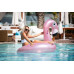 Zwemband flamingo roze 100cm tot 80kg Zwemband flamingo roze 100cm tot 80kg