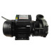 LX LP200 Spa bubbelbad massage pomp LX LP200 - 1 speed LX LP200 Spa bubbelbad massage pomp LX LP200 - 1 speed