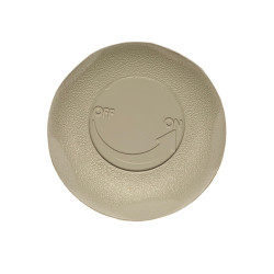 Afdekring van de spa knop grijs Waterway 602-4357 diameter 68 Afdekring van de spa knop grijs Waterway 602-4357 diameter 68