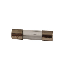 Glas zekering 20mm 250mA Glas zekering 20mm 250mA