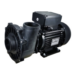Waterway executive spa pomp 56f 2HP 2-speed massagepomp Waterway executive spa pomp 56f 2HP 2-speed massagepomp